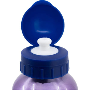 Gefrorene 560 ml Aluminiumflasche - 3