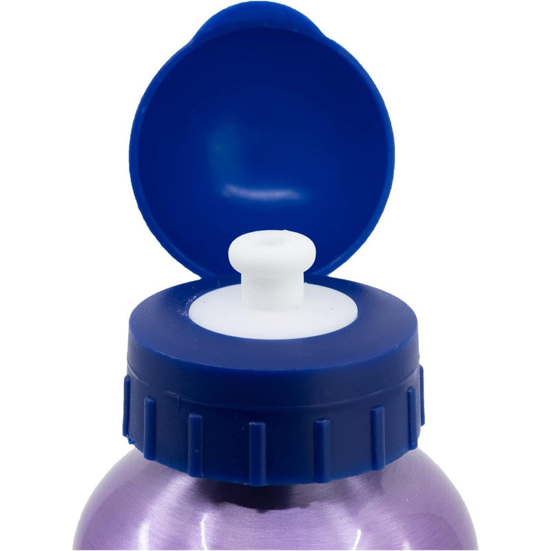Gefrorene 560 ml Aluminiumflasche - 3