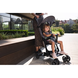 Reisebuggys Kidnort Snopetrel Grey - 10