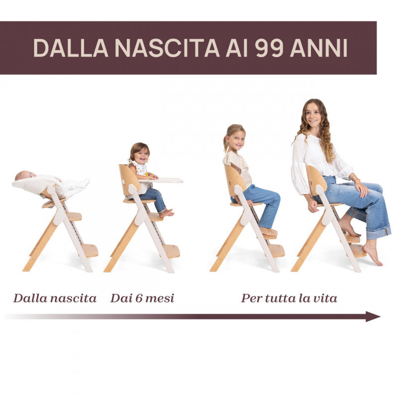 Sedia Evolutiva Chicco Meraviglia Fossil - 13